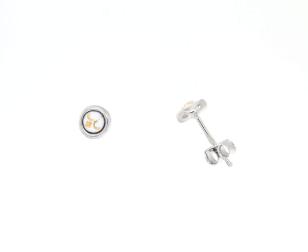 Boucles d'oreilles clous petit rond systeme papillon